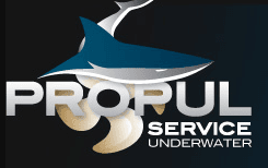 Logo Propulservice - Empresa que utiliza EasyTool para gestão de ferramentaria e almoxarifado industrial